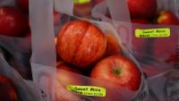 Michigan’s multimillion-dollar apple Industry poised for another strong harvest      