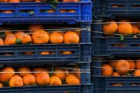 Agoa extension offers relief, but SA agri needs long-term certainty