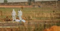 Ekurhuleni murders: Cape Town community organisations to honour victims