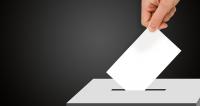 Diagnosing a small island democracy: What shapes Guamanian voters' decisions?