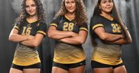 Depth helps carry Lancaster Mennonite to key L-L Section 3 girls volleyball win over Northern Lebanon