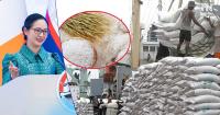 Philippines Emerges as Major Market for Cambodian Rice, Exports Set to Top 200,000 Tonnes