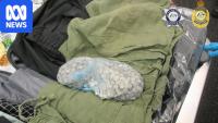 Man busted with 9kg of methodone at Melbourne Airport