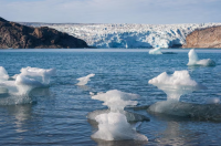 Greenland and Antarctica have lost 11.3 trillion tons of ice since 1979, according to satellite data