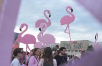 Instagram Takedowns and AI Deepfakes Target Albania’s ‘Flamingo’ Protesters