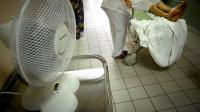 Nurses on heatwave hospitals - maggots, death, and patients dripping in sweat