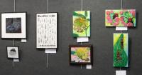 Glories of Nature art exhibition showcases science through creativity