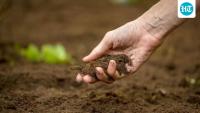 In a first, 2.5k Punjab, Haryana farmers earn nearly  ₹3 crore for soil carbon credits