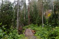 Foresters, activists dispute federal Roadless Rule claim