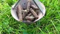 Now is the time to soil test on tillage farms