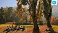 Spice of Life | Words bridge cultures, bring our world closer