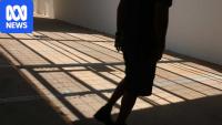 Senate inquiry slams 'false narrative' youth crime wave gripping Australia