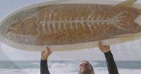 California's "Cigarette Surfboard" documentary highlights scourge of discarded cigarette butts