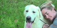 Nacogdoches animal shelter partners with Best Friends Animal Society for dog day out program