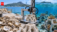 Taiwanese students are turning discarded oyster shells and coral waste into 3D-printed structures for damaged reefs