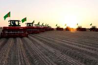 Dashoguz velayat is the largest grain granary in the country