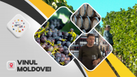 Moldovan Wine: A Cultural Passport Rooted in the Country’s Vineyards