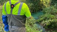 'Serious pollution' at Devon brook causes 'severe environmental impact'