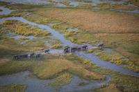 What travellers should know before visiting Botswana’s Okavango Delta