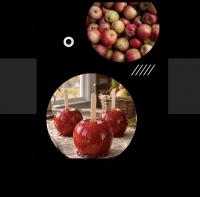 Apple Picking Season is Here in Rhode Island