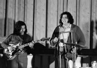 Hungarian Blues Icon Gyula Deák Bill Dies at 77