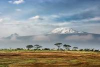 East Africa’s iconic snow peaks face imminent extinction