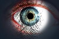 Technology Trends Outlook 2026 – New McKinsey Report