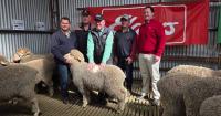 New buyers help boost Pepperwell ram sale