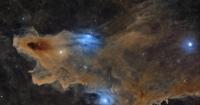 Wondrous Winners of the 2026 ZWO Astronomy Photographer of the Year