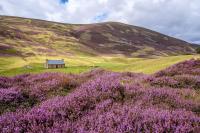 Cairngorms tourism bosses launch winter campaign for UK’s largest national park