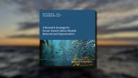 Marine Carbon Dioxide Removal Is Advancing, but Questions Remain About Viability, Says New Digital Report
