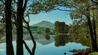 Group of tourists stopped for ice creams at popular Welsh spot and now face almost £1,000