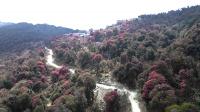 Laligurans Trail project aims to establish new trekking destination
