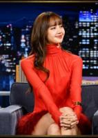 BLACKPINKs Lisas backup career plan was a Disneyland performer as prin...
