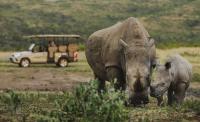 How guest stays are funding Africa’s greatest recovery story