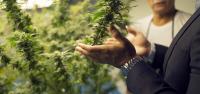 Residents of Rock Hill, Missouri Sue Cannabis Facility Over Odor 
