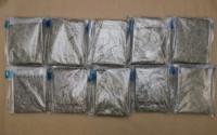 World : Two Malaysians Arrested Over 10 Kg Cannabis Seizure In Singapore