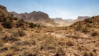 Four Southwestern States Set or Tied Summer Heat Records as Earth Logged Its Warmest August on Record