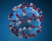 Measles cases on the rise in southwestern Wisconsin