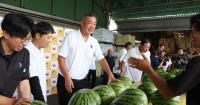 Easy Japanese news in translation: Autumn watermelon cultivation spreads in Chiba's Tomisato