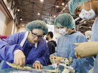Swiss apprenticeship market remains bouyant