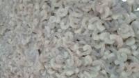 UCN proposes new Europe-bound Ecuadorian vannamei shrimp FOB price assessments
