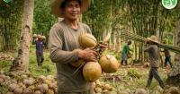 EcoGuard Global and CONFED Go-Live with Carbon Office Platform in Philippines Serving 3 million Coconut Farmers