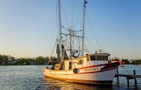 US Senate’s Farm Bill would give commercial fishers access to USDA loans