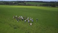 Up to 80 jobs at risk at UK Agri-Tech Centre