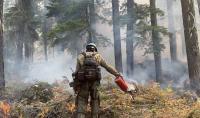 Montana, Idaho, Wyoming, and Washington show key strategies for effective wildfire funding