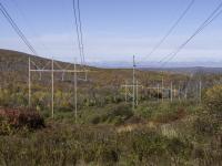 Environmental groups argue transmission corridor failing to meet conservation standards