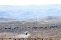 Destructive ventenata — arguably worse than cheatgrass — sweeps west across Wyoming