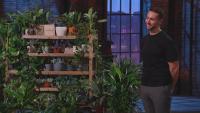 Dragons’ Den double: Steven Bartlett backs plant tech firm and Northern Pasta Co wins investment