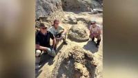 Colorado science teacher hopes his T. rex trackway discovery fuels ferocious passion for learning